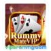 Rummy mate vip apk